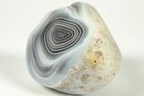 Polished, Banded Botswana Agate #206680-1
